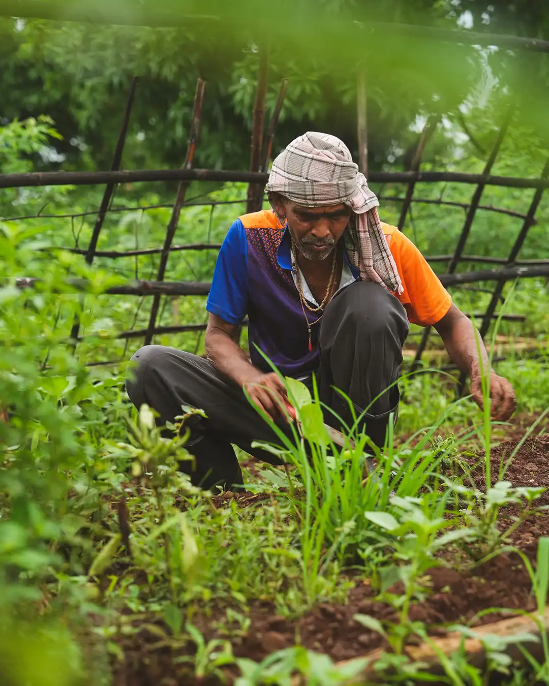 Jnana Farms farmer in the field