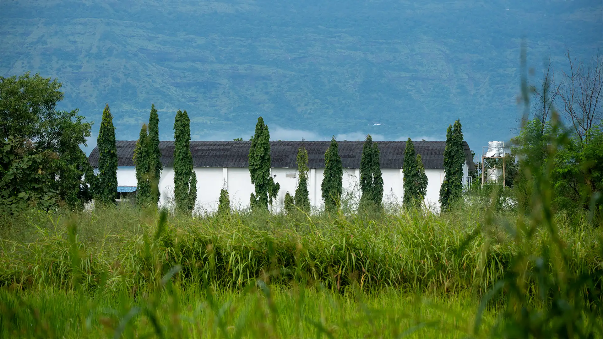 Jnana Farms landscape
